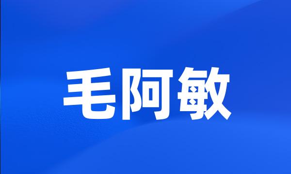 毛阿敏