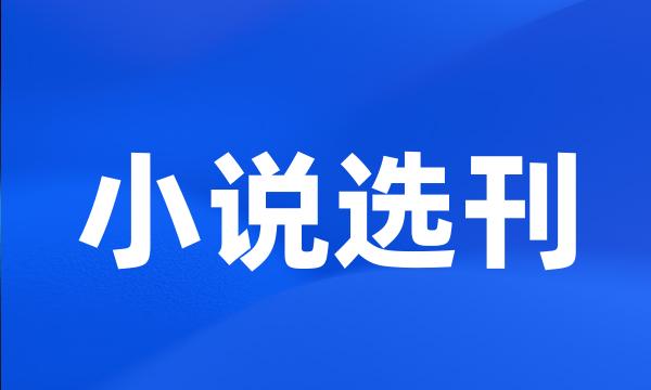 小说选刊