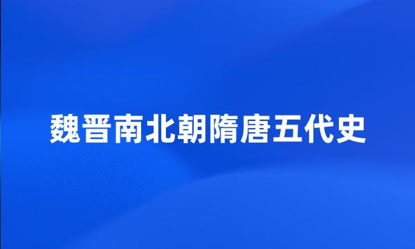 魏晋南北朝隋唐五代史