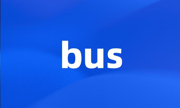 bus