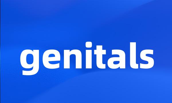 genitals