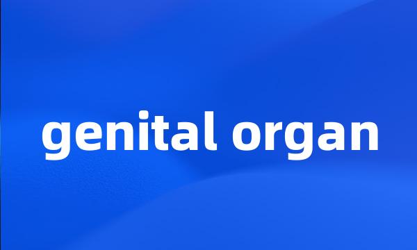 genital organ