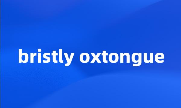 bristly oxtongue