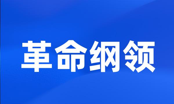 革命纲领