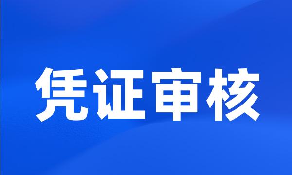 凭证审核