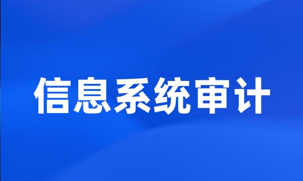 信息系统审计