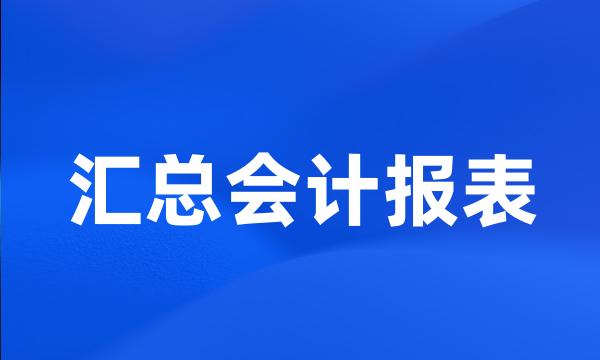 汇总会计报表