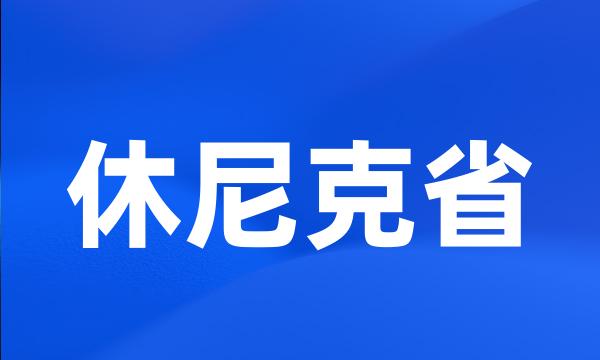 休尼克省