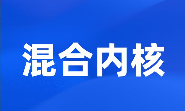 混合内核