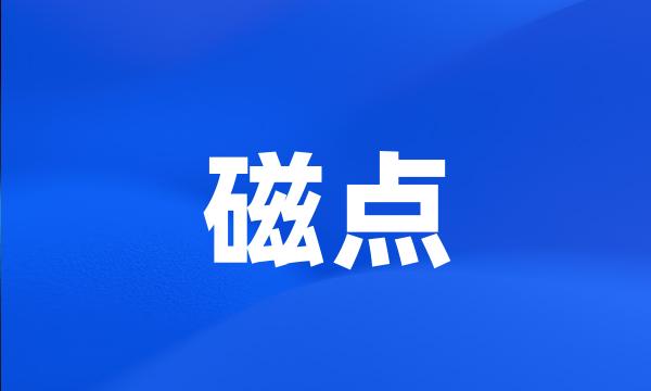 磁点