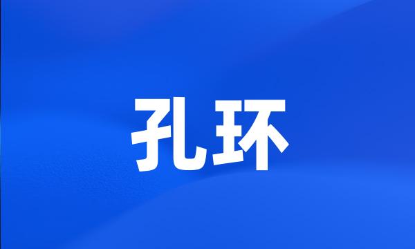 孔环