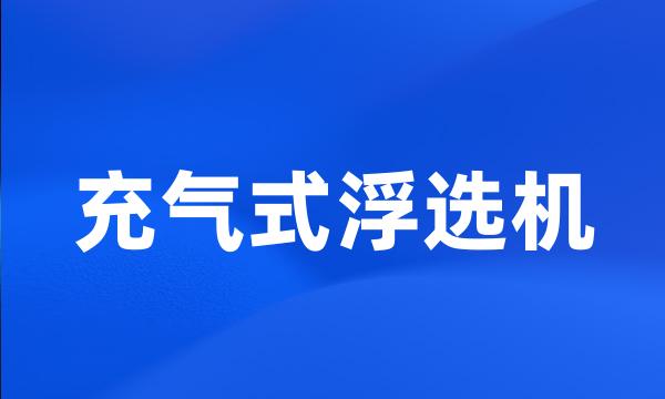 充气式浮选机