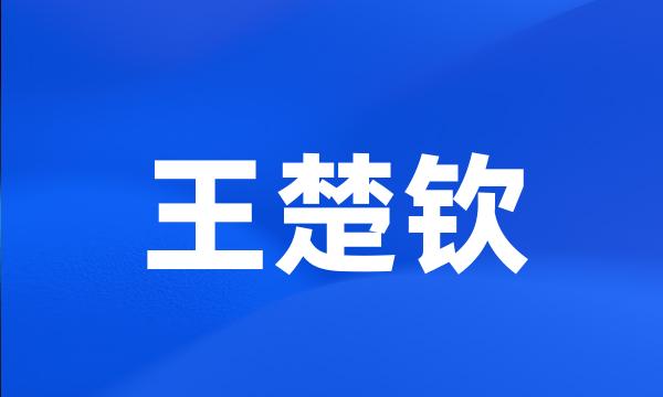 王楚钦