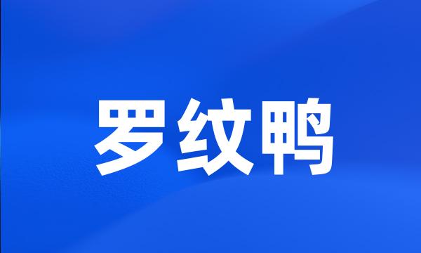 罗纹鸭