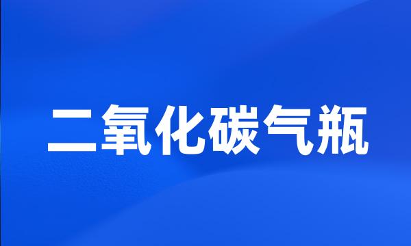 二氧化碳气瓶