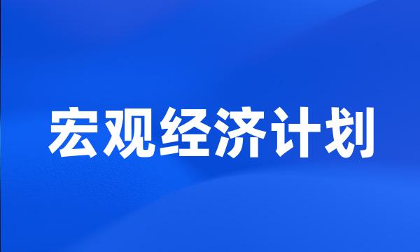 宏观经济计划