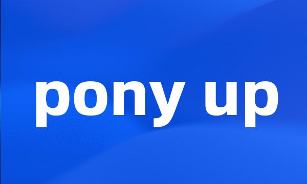 pony up