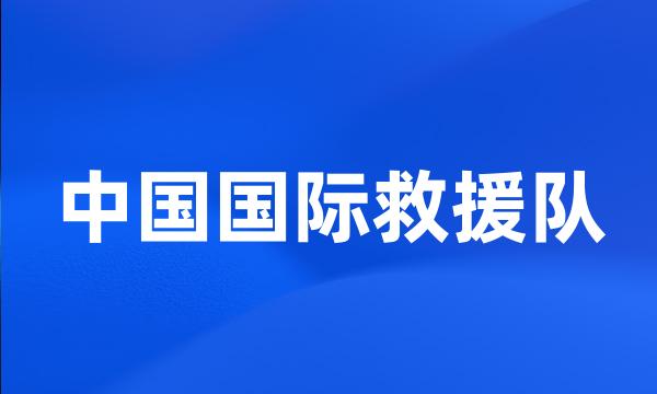 中国国际救援队