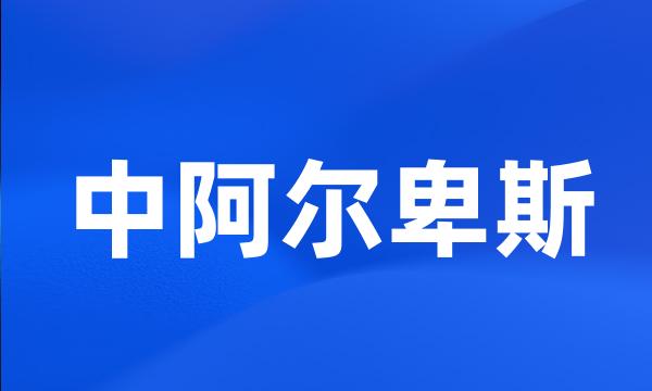 中阿尔卑斯