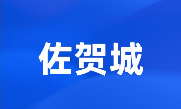 佐贺城