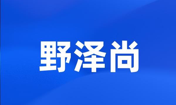 野泽尚