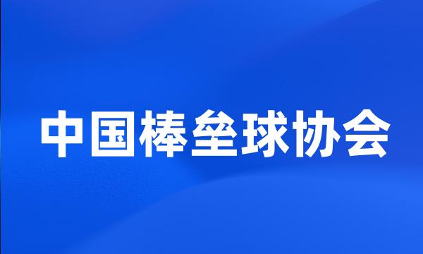 中国棒垒球协会