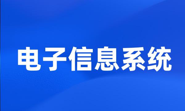 电子信息系统