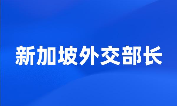 新加坡外交部长