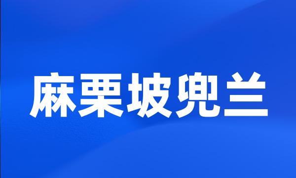 麻栗坡兜兰