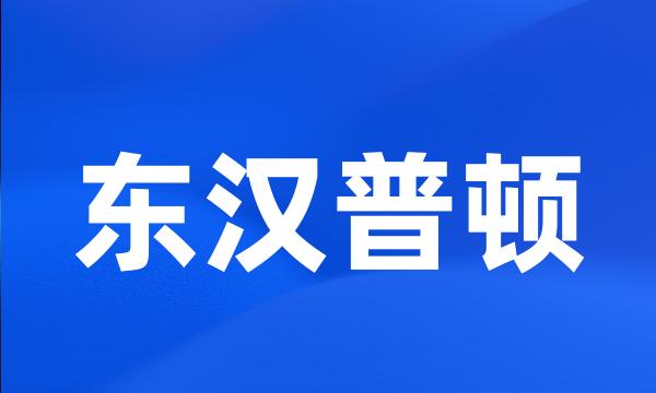 东汉普顿