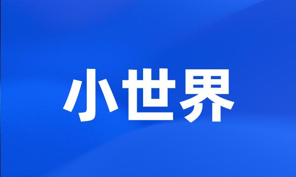 小世界