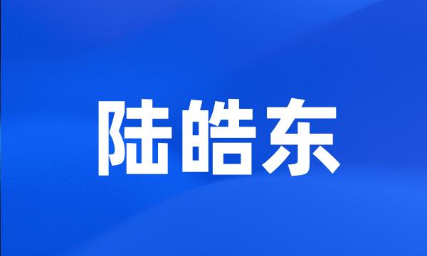 陆皓东