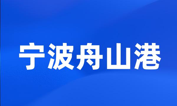 宁波舟山港