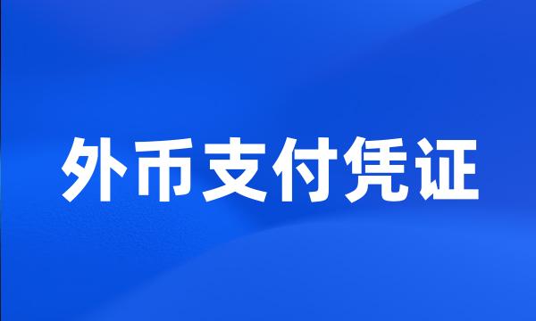 外币支付凭证