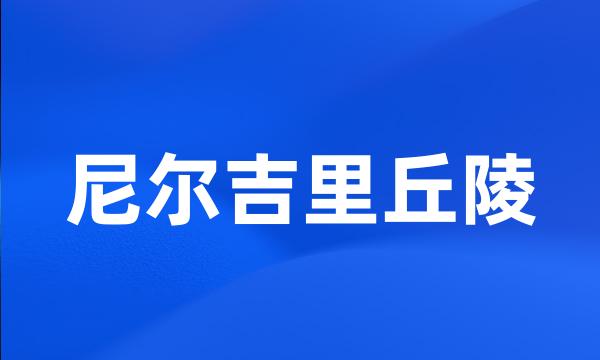 尼尔吉里丘陵