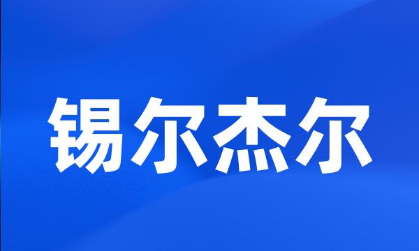 锡尔杰尔