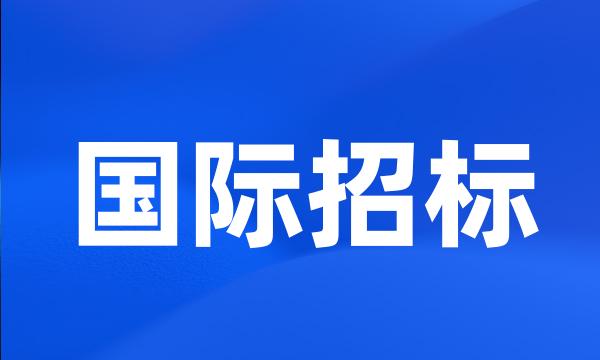 国际招标