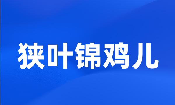 狭叶锦鸡儿