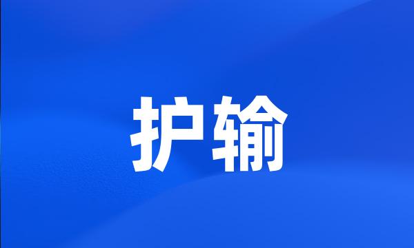 护输