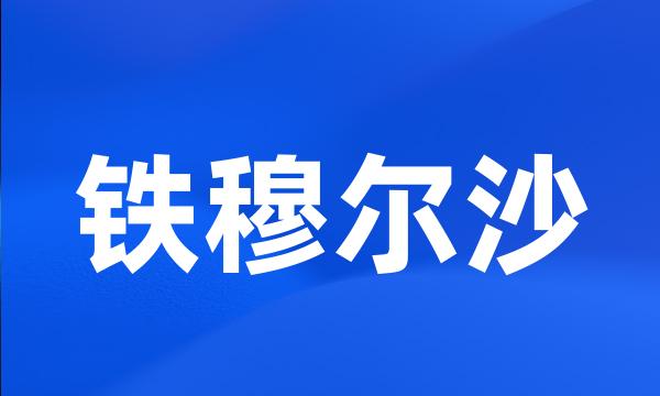 铁穆尔沙