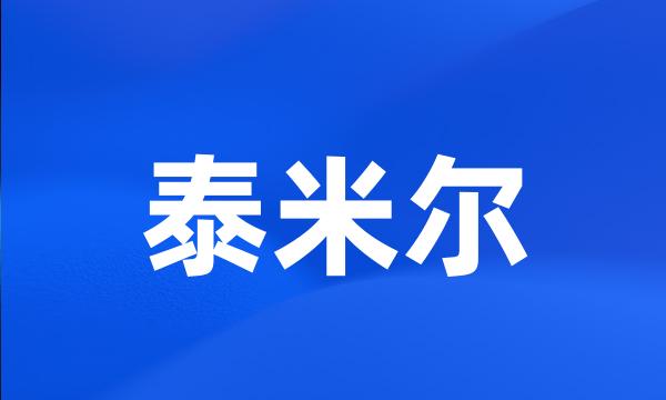 泰米尔