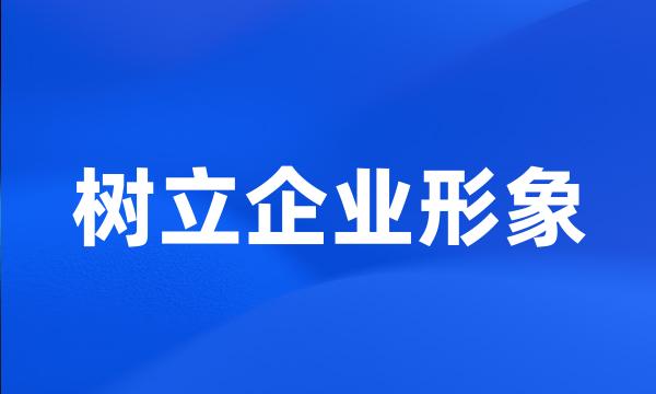 树立企业形象