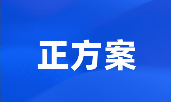 正方案