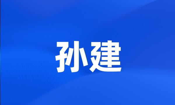 孙建