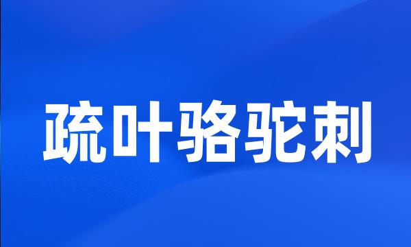 疏叶骆驼刺