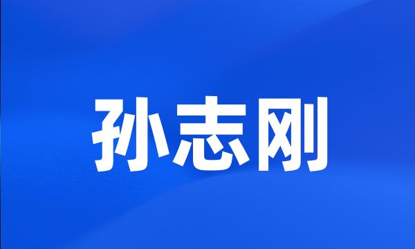 孙志刚