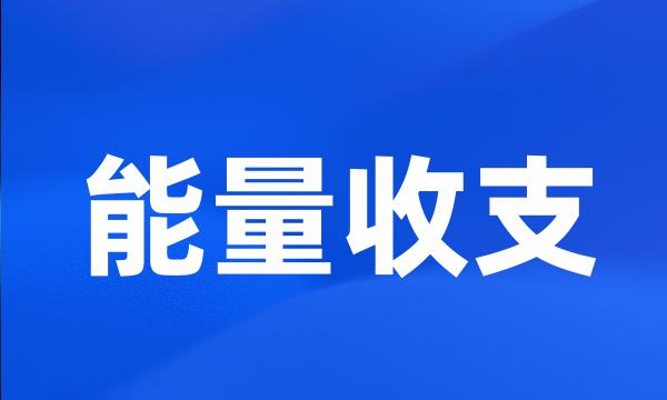 能量收支