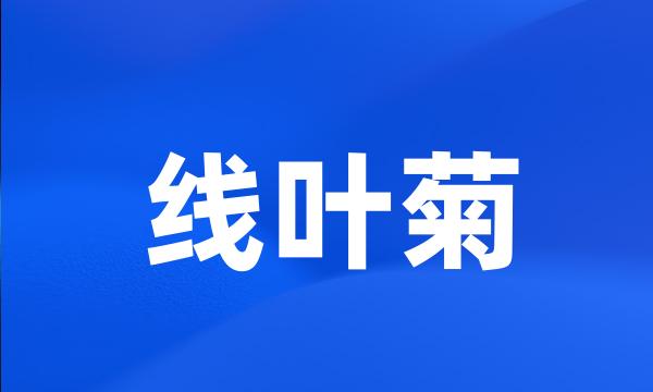 线叶菊