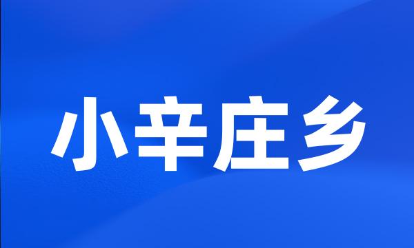 小辛庄乡