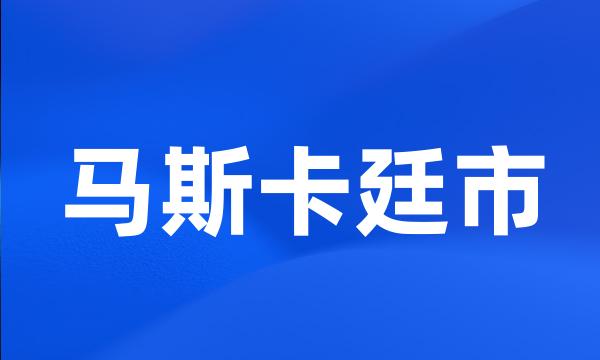 马斯卡廷市